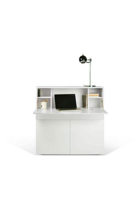 Litera 31
