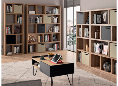 Sofás y Sillones Modernos 60