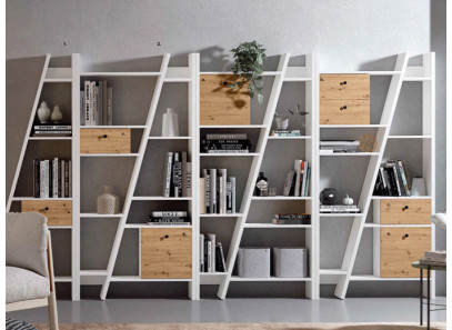 Librería con cajones y puertas